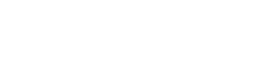 toolify logo
